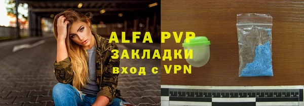 ПСИЛОЦИБИНОВЫЕ ГРИБЫ Каменка