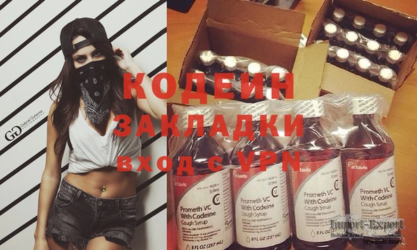 ПСИЛОЦИБИНОВЫЕ ГРИБЫ Каменка