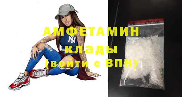 сатива Каменногорск
