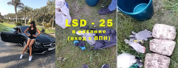 ПСИЛОЦИБИНОВЫЕ ГРИБЫ Каменка