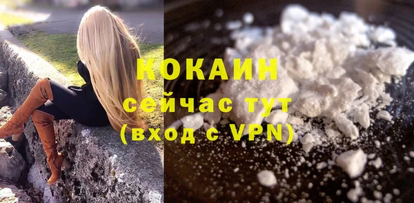 сатива Каменногорск