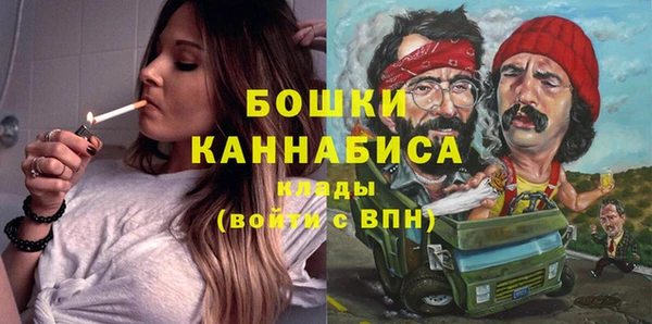 ПСИЛОЦИБИНОВЫЕ ГРИБЫ Каменка