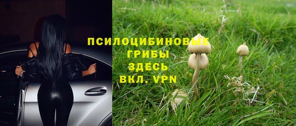 дурь Каменск-Шахтинский