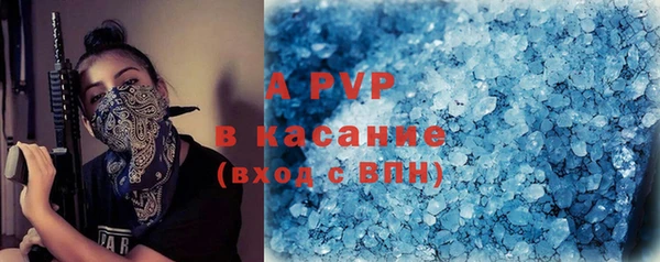 ПСИЛОЦИБИНОВЫЕ ГРИБЫ Каменка