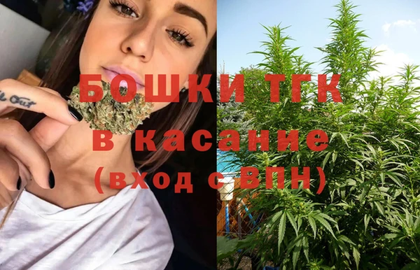 ПСИЛОЦИБИНОВЫЕ ГРИБЫ Каменка
