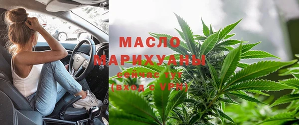 сатива Каменногорск