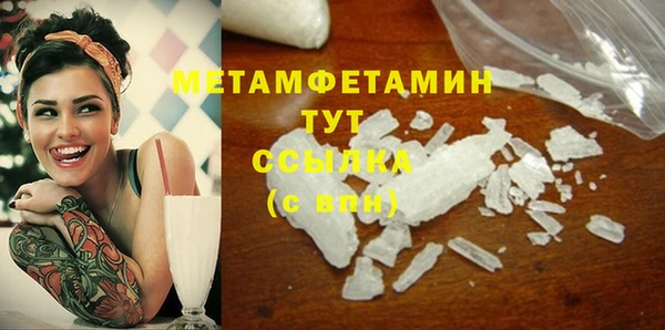 сатива Каменногорск