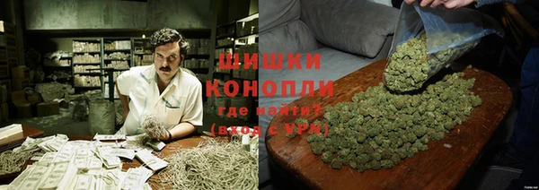 сатива Каменногорск