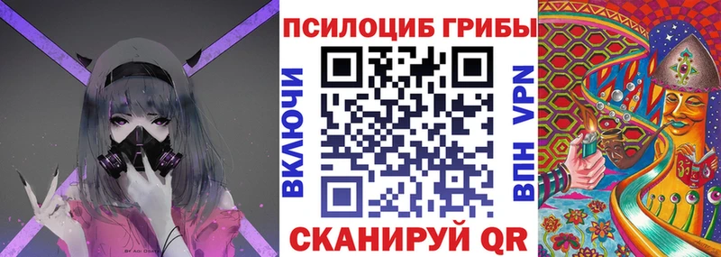Псилоцибиновые грибы Psilocybe  Купить закладки  Джанкой 