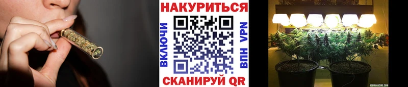 Шишки марихуана SATIVA & INDICA  Купить где  Джанкой 